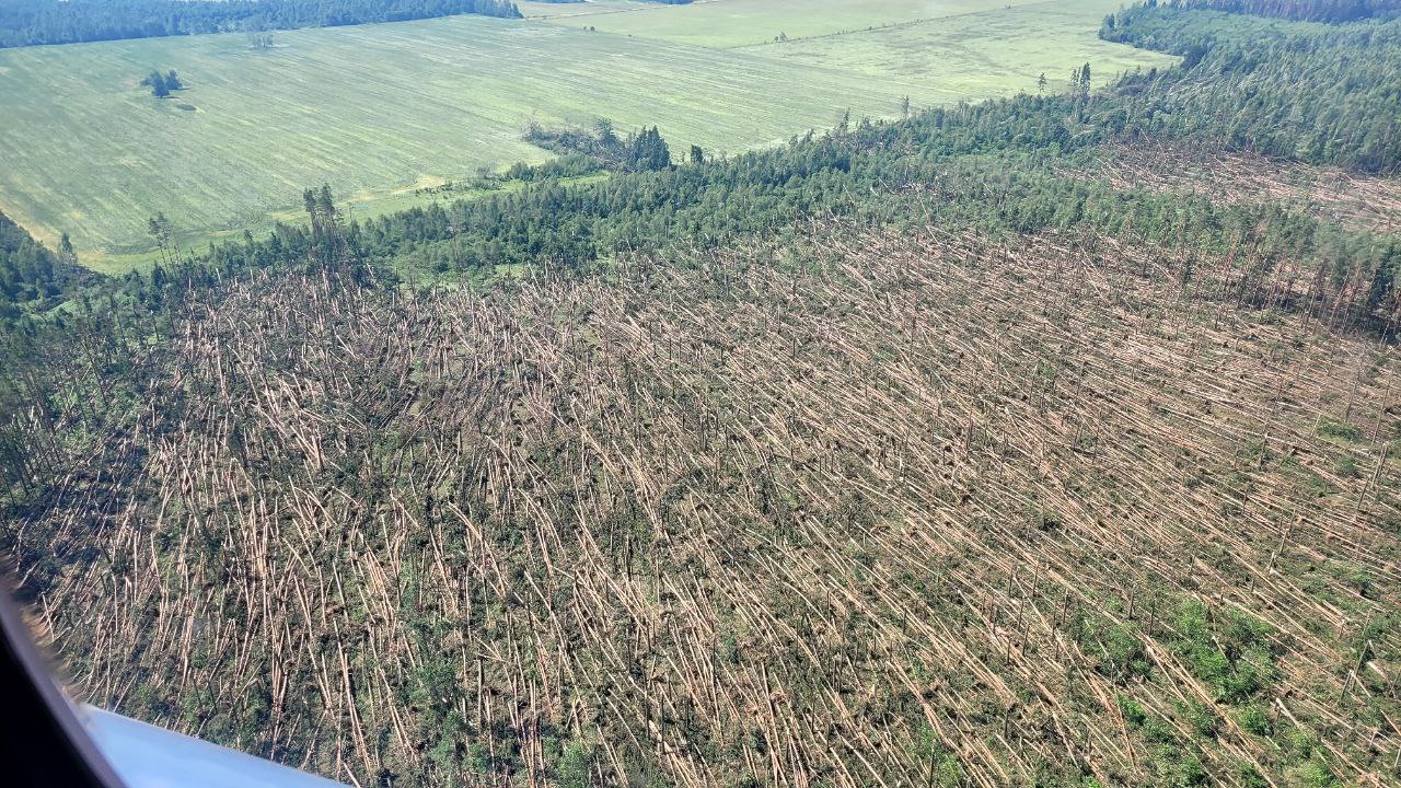 Кадры с воздуха. Последствия разгула стихии под Могилевом - ФОТОФАКТ