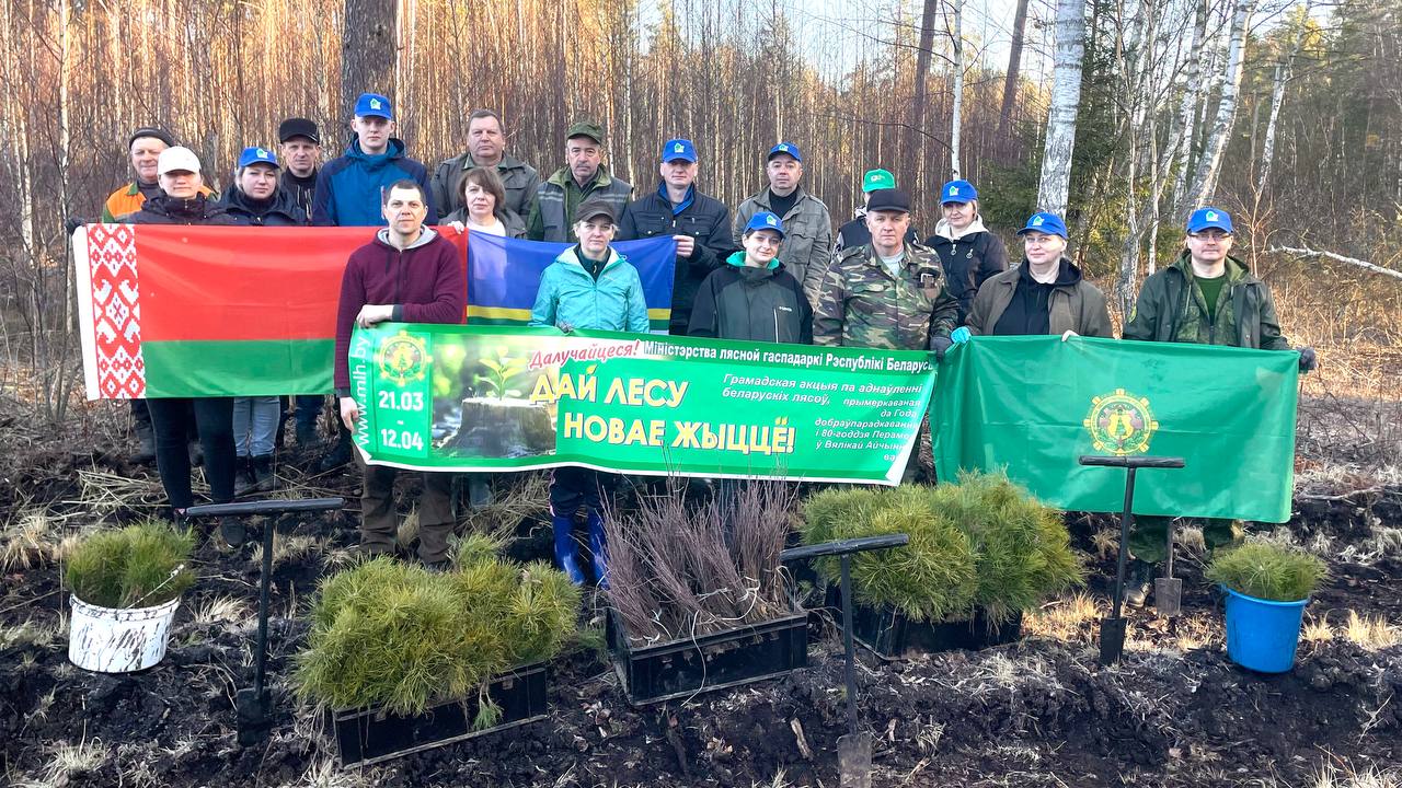 Работники аппарата Дятловского лесхоза приняли участие в добровольной акции