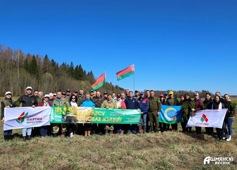 Акция «Дай лесу новае жыццё” проходит на Ошмянщине