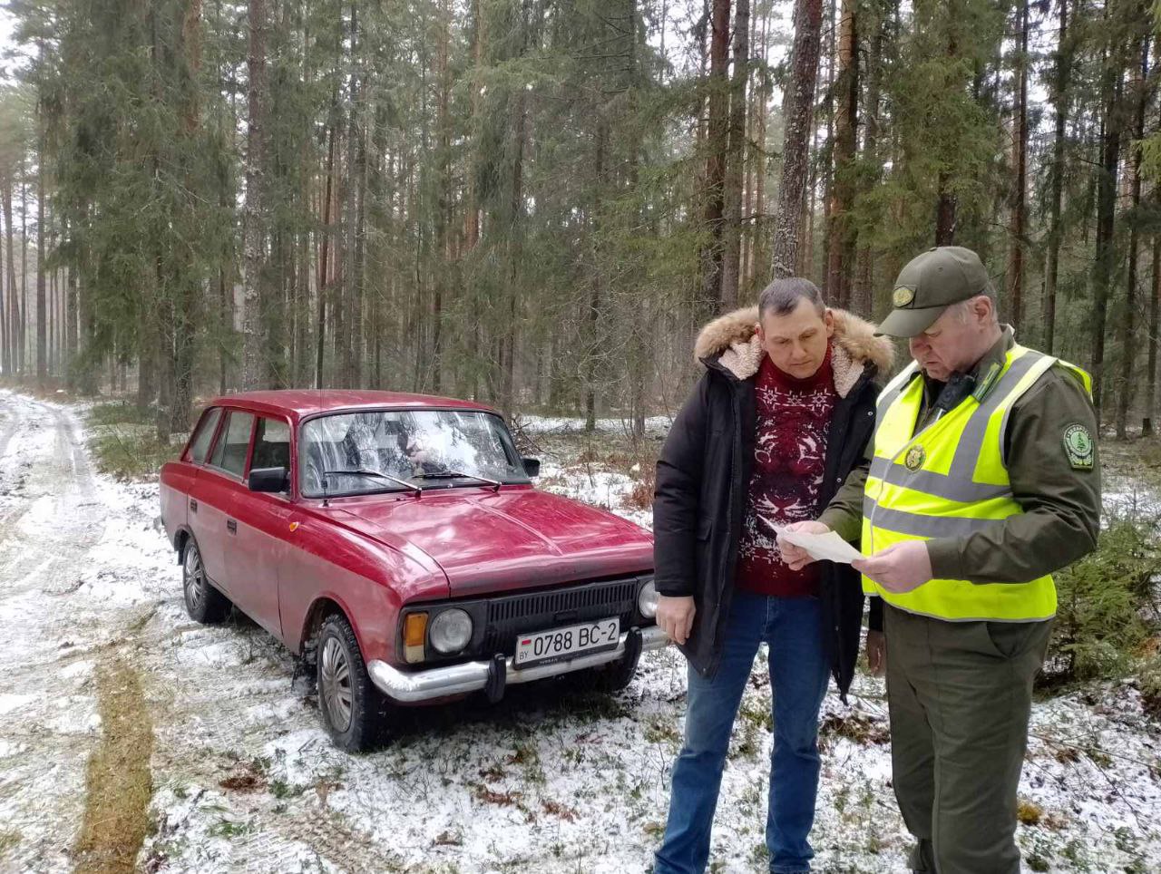 Лесная охрана на страже новогоднего уюта!