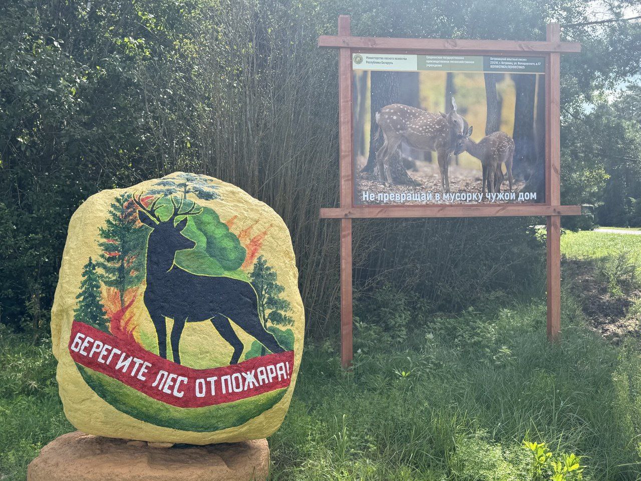 ГОД БЛАГОУСТРОЙСТВА В ДЕЙСТВИИ!
