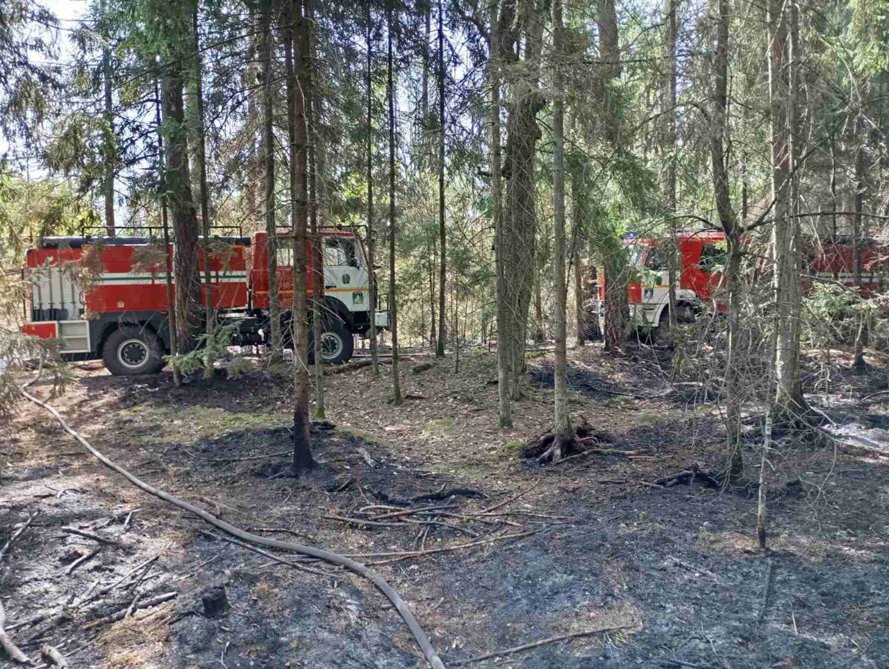 Первый лесной пожар в Щучинском лесхозе.