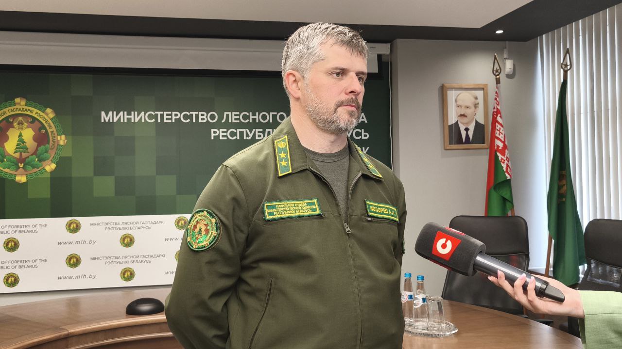'Проблема требует комплексного решения'. Александр Козорез - о ситуации с выходом диких животных на дороги