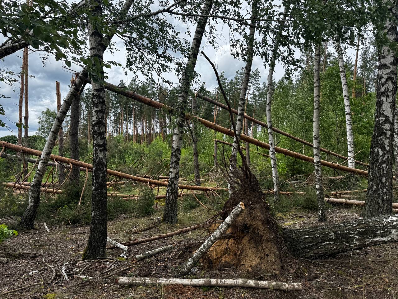 Последствия непогоды