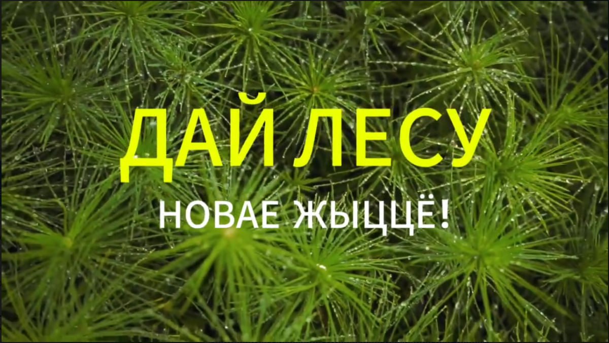Акция 