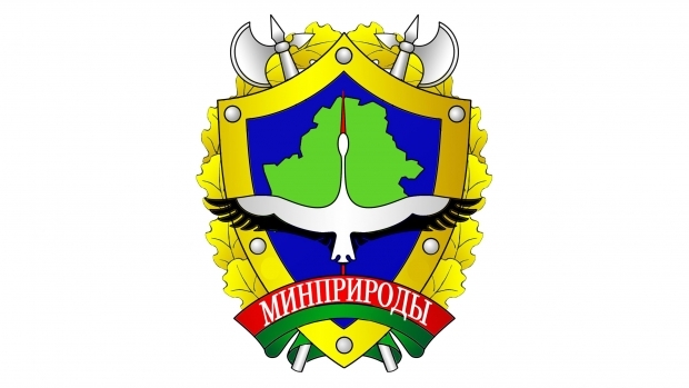 Минприроды разъяснило правила сброса дождевой и талой воды для частных домов