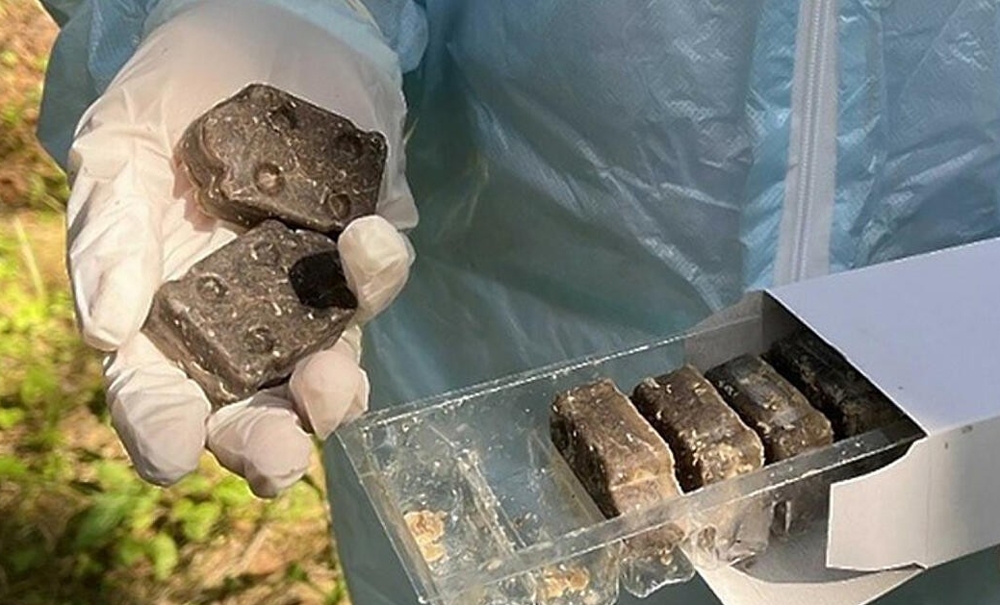 В Беларуси стартовала осенняя вакцинация диких животных от бешенства
