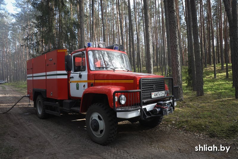 В пятницу, 2 мая, в Сморгонском районе на территории Трилесинского лесничества было зафиксировано возгорание.