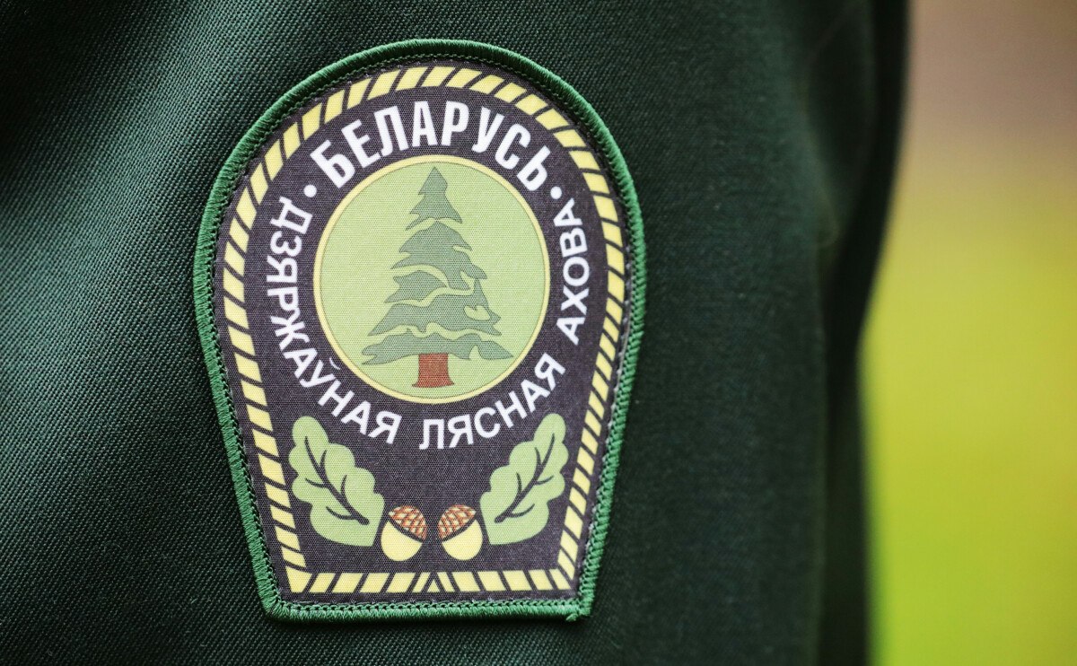 Графік прыёму грамадзян кіруючымі работнікамі апарата Міністэрства лясной гаспадаркі Рэспублікі Беларусь