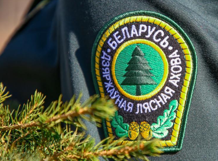 Графік прыёму грамадзян кіруючымі работнікамі апарата Міністэрства лясной гаспадаркі Рэспублікі Беларусь