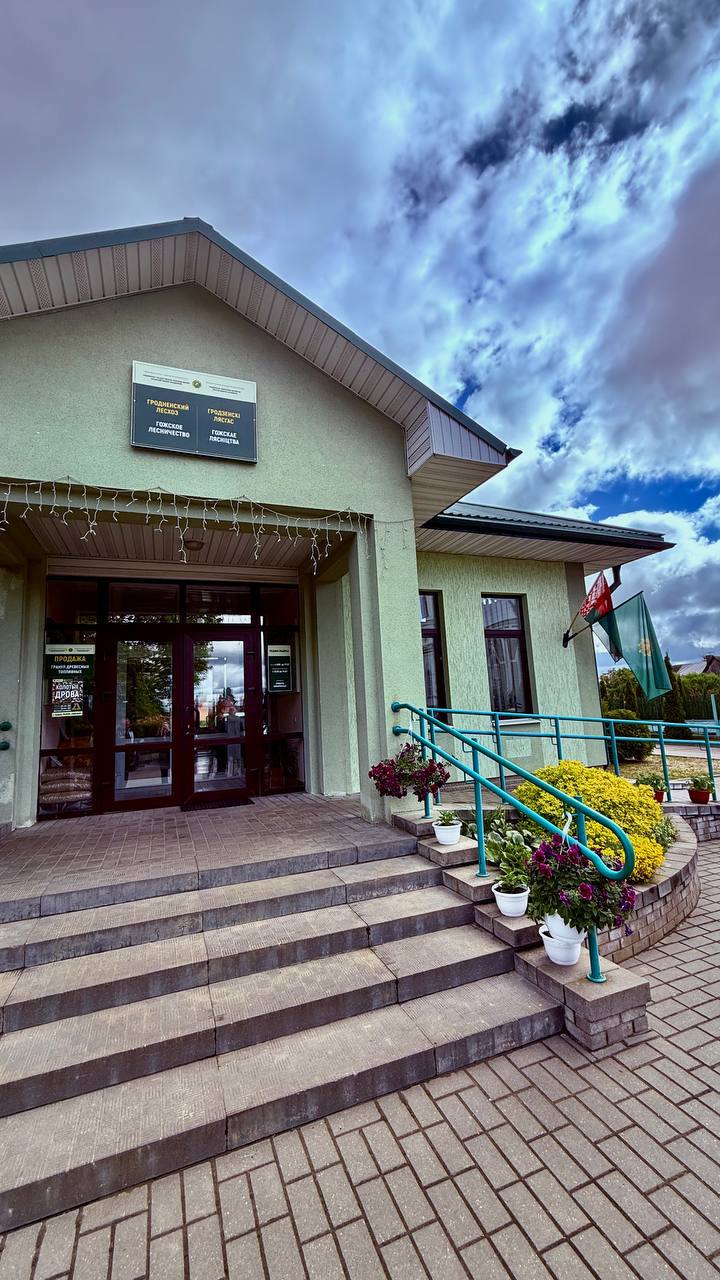 Гродненское лесохозяйственное объединение подводит итоги I квартала 2025 года