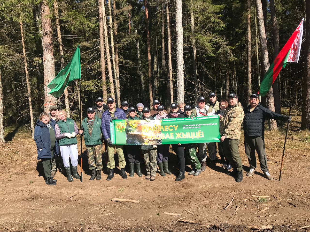 В республиканский субботник аппарат Гродненского ГПЛХО принял участие в акции Дай лесу новае жыцце»