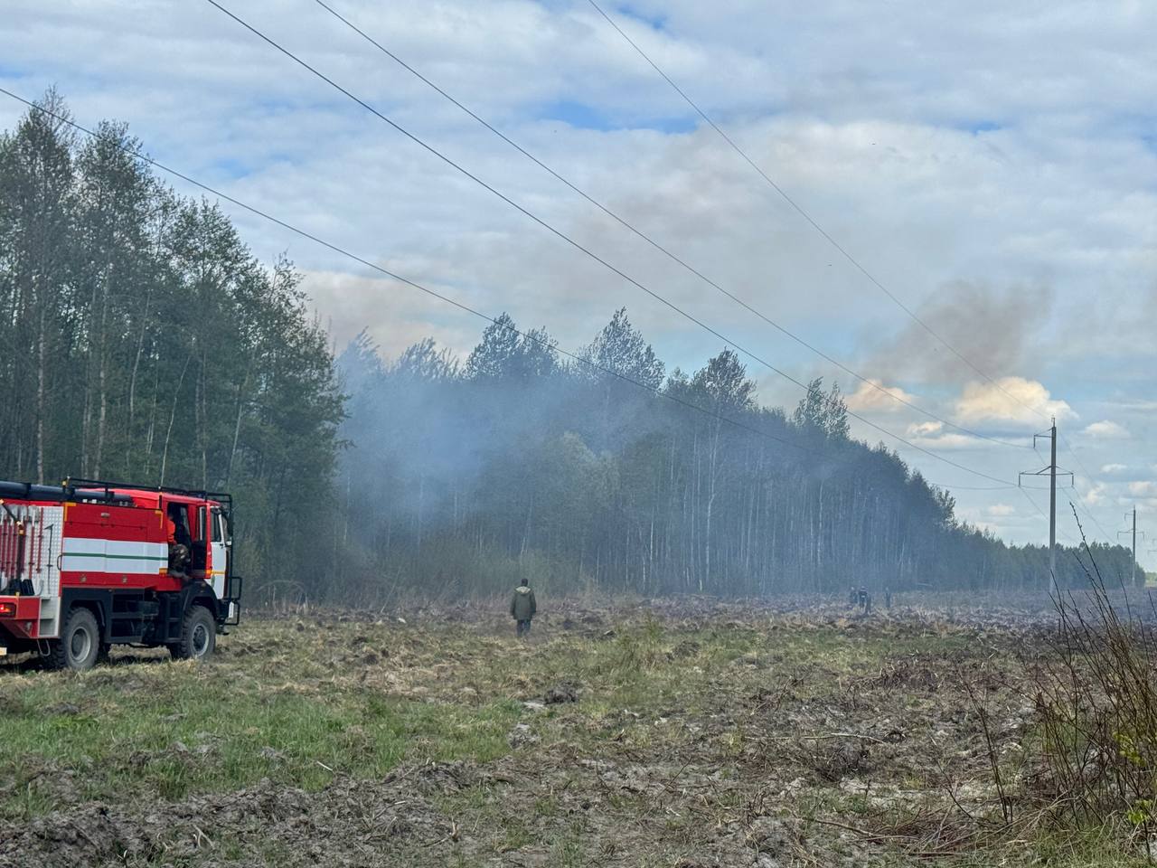 ЛЕСНОЙ ПОЖАР ЛОКАЛИЗОВАН В МОСТОВСКОМ ЛЕСНИЧЕСТВЕ