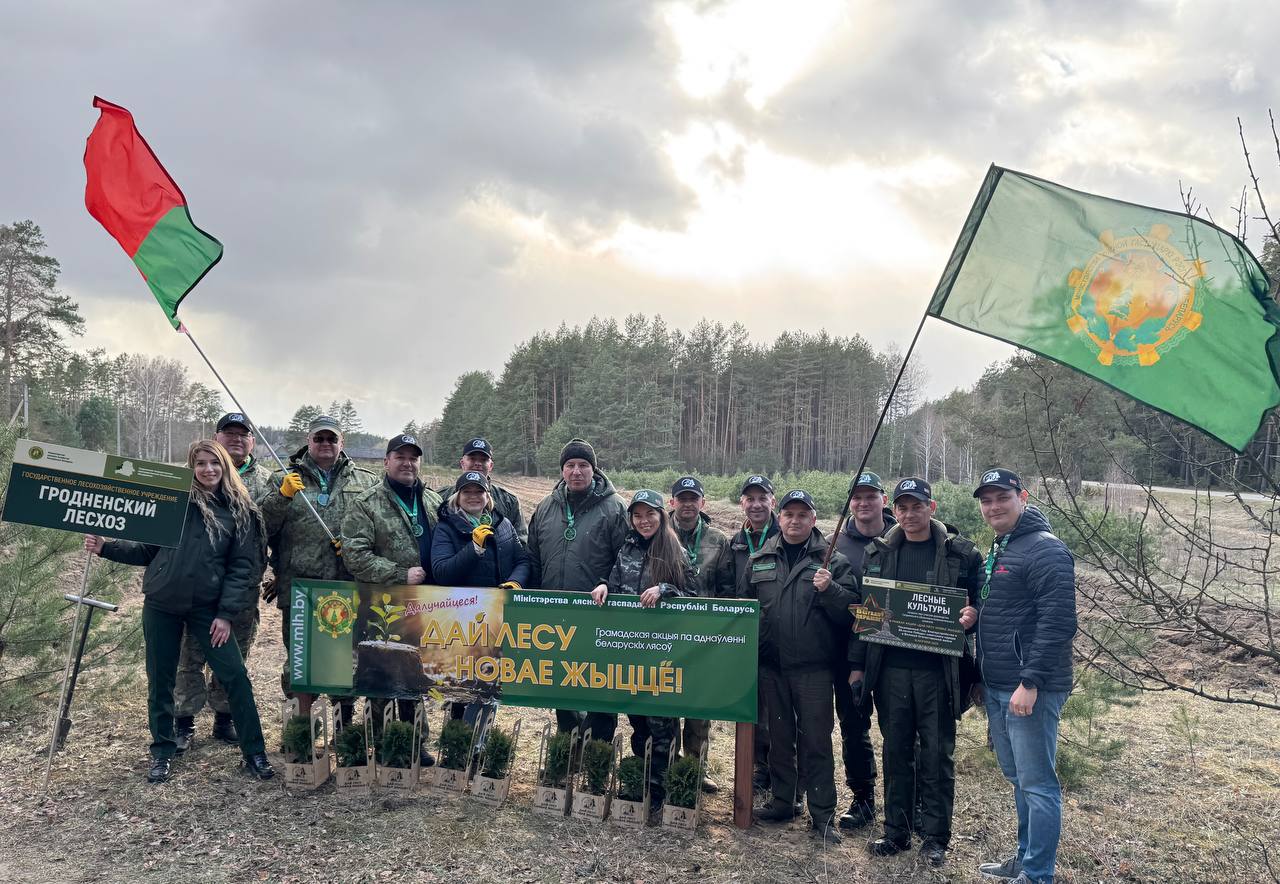 «Дай лесу новае жыцце»