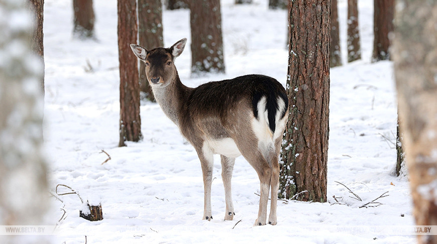 Фото из архива