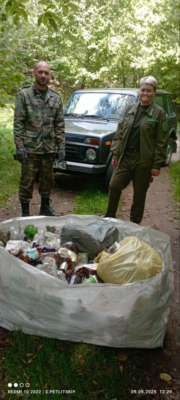 Год благоустройства