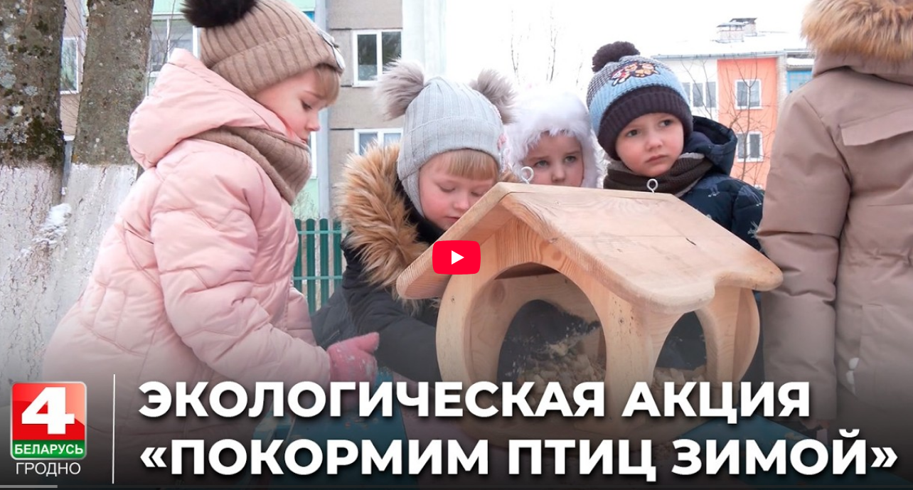 19 января на Гродненщине стартовала экологическая акция «Покормим птиц зимой»