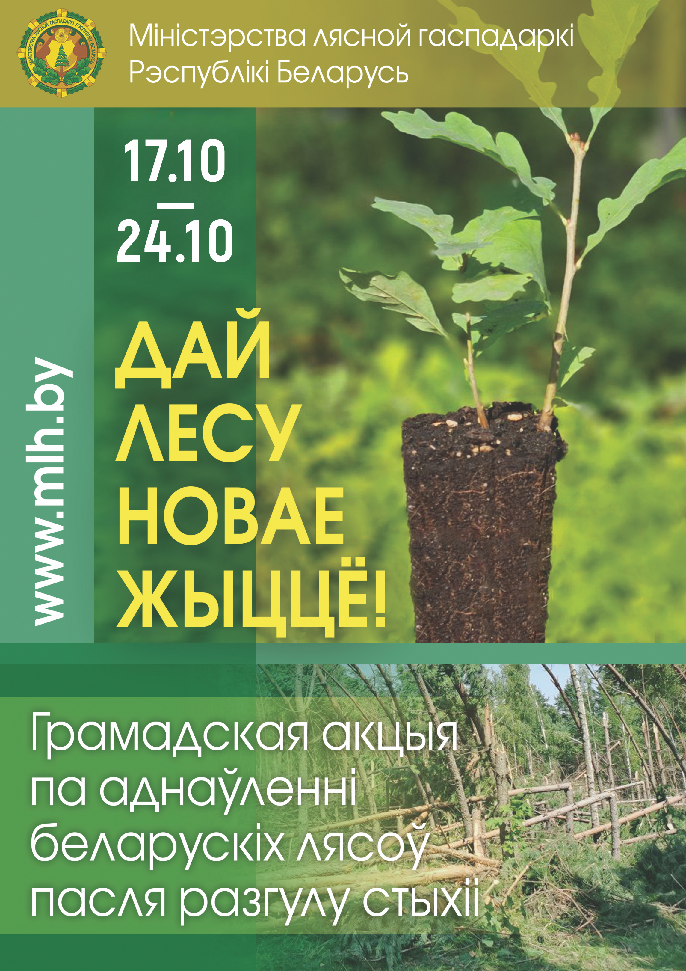 Слонимский лесхоз приглашает принять участие в акции  