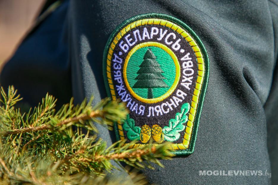 Работники лесной отрасли избраны делегатами Всебелорусского народного собрания