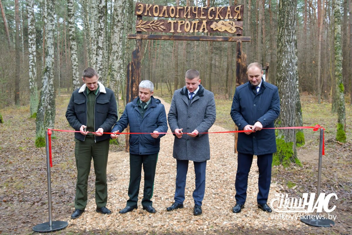 Экологическая тропа Волковысского лесхоза