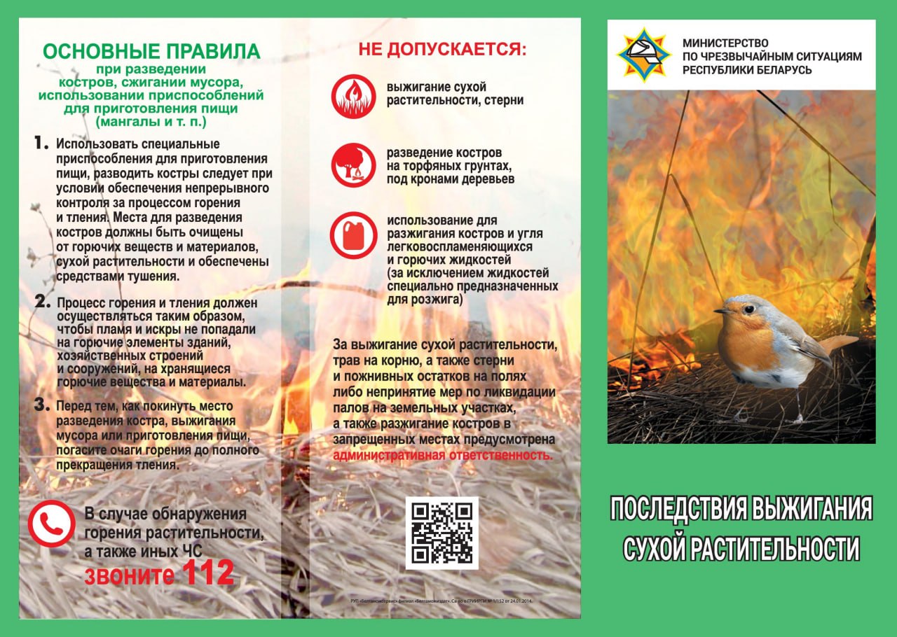 Весенние пожары: опасности и меры предосторожности