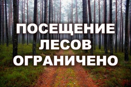 На территории Сморгонского опытного лесхоза введено ограничение на посещение лесов
