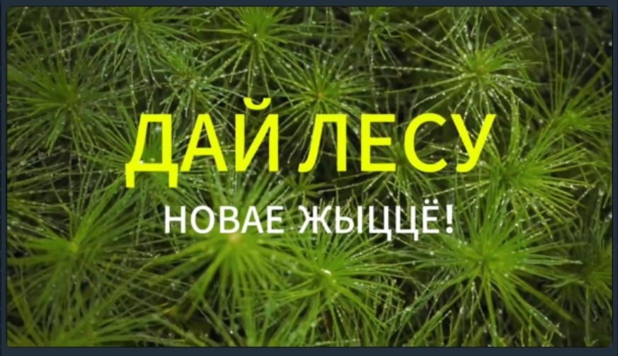 Акция 