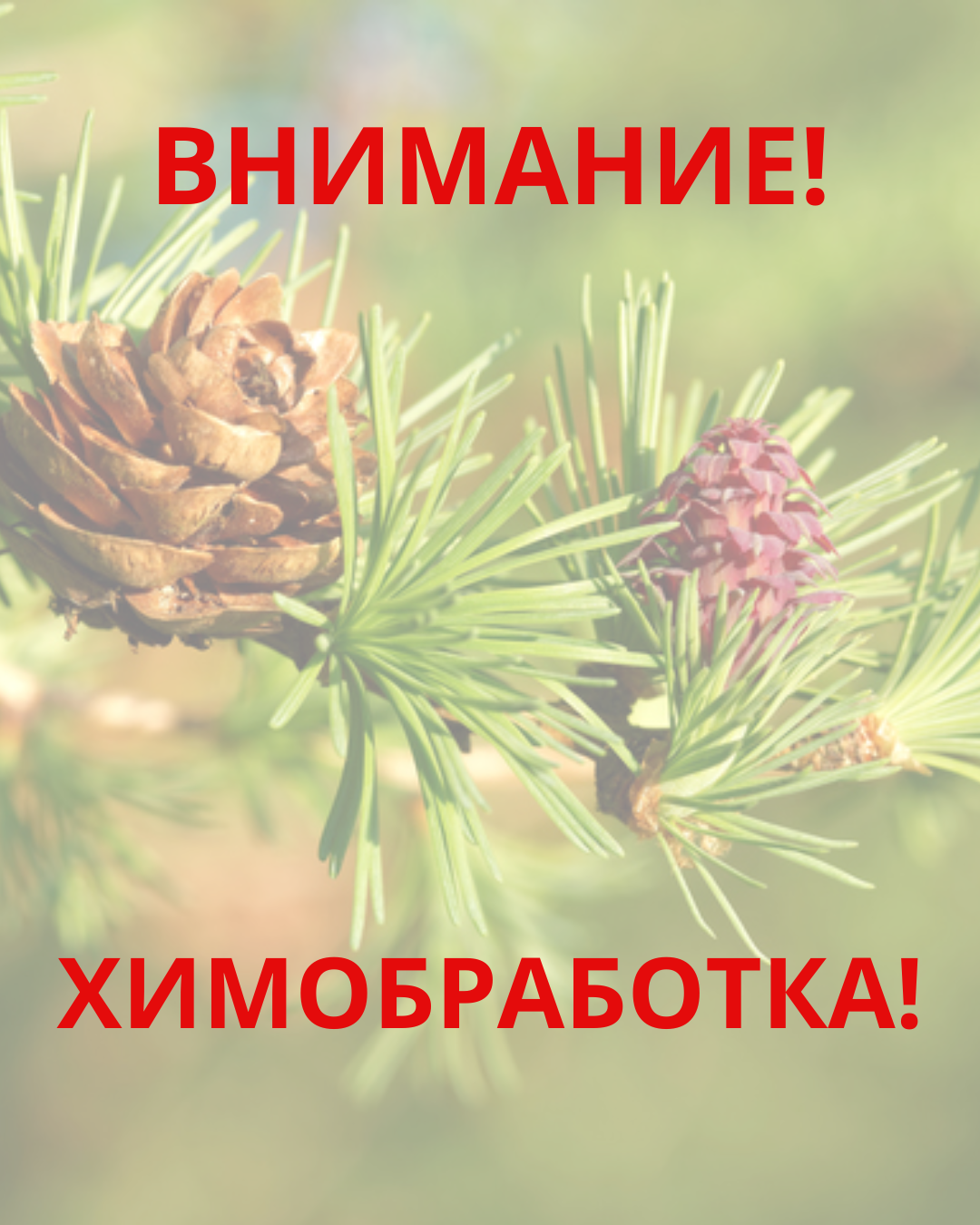 ВНИМАНИЕ! ХИМОБРАБОТКА!!! (Можейковский сельский совет)