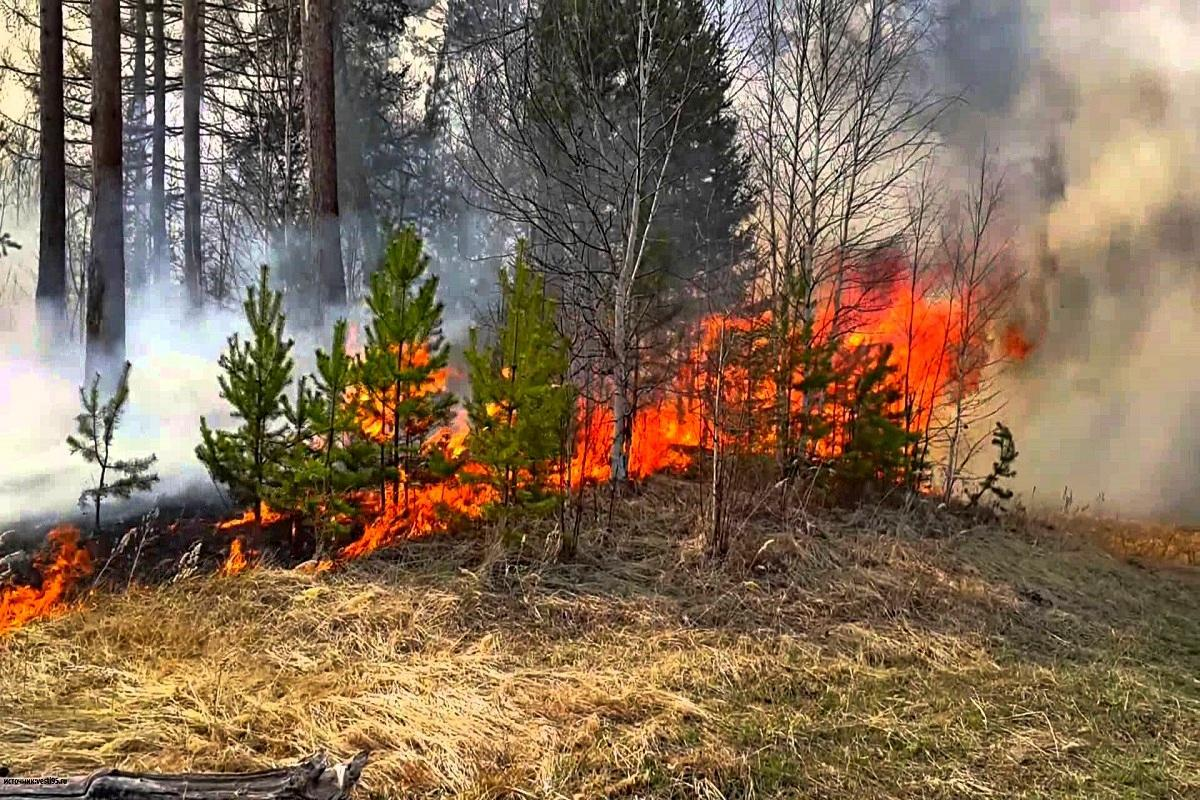 Лесная охраны Волковысского лесхоза предупреждают о начале пожароопасного сезона в лесах Республики Беларусь