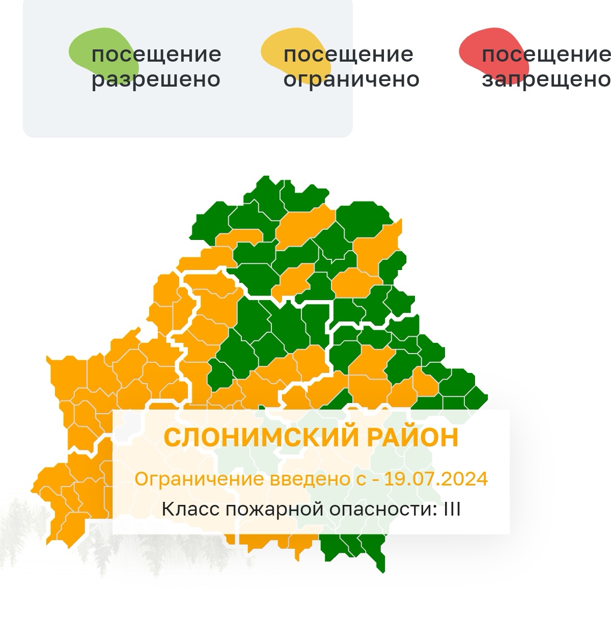 Введено ограничение на посещения лесов с 19 июля