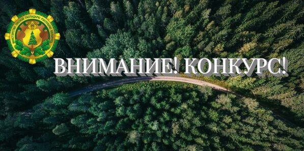 Республиканский творческий конкурс на лучшее освещение в СМИ и социальных сетях лесной тематики и деятельности Министерства лесного хозяйства Республики Беларусь