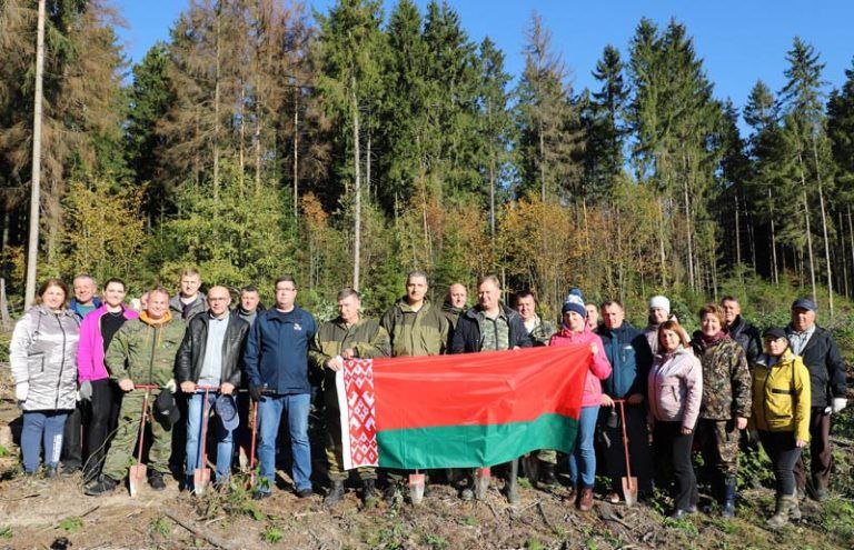 Дай лесу новае жыццё! На Ашмяншчыне далучыліся да грамадскай акцыі.