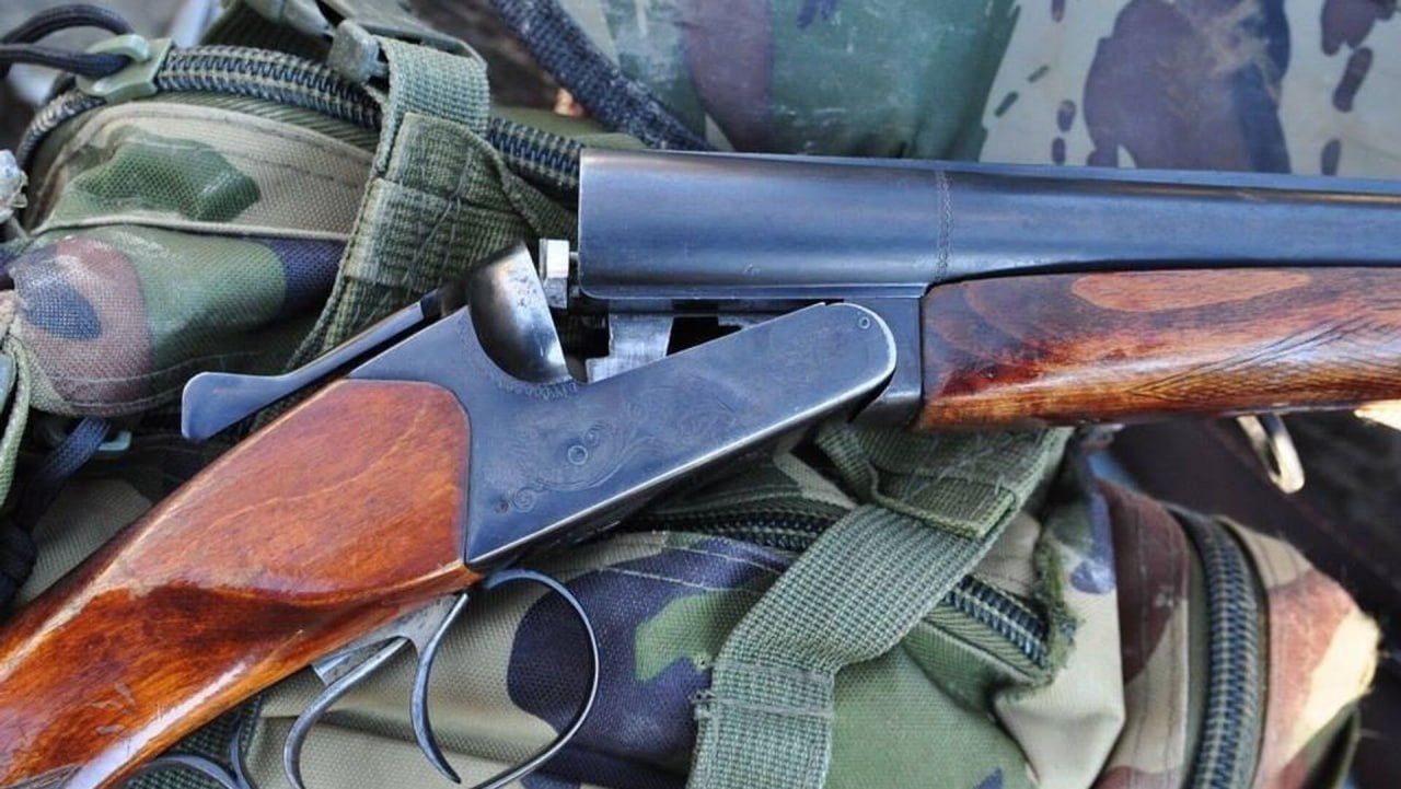С 15 мая в Беларуси открывается сезон охоты на косулю