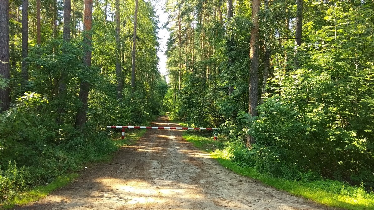 Ведено ограничение на посещение лесов