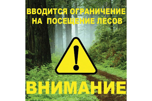 01.07.2025г.  введено оганичение  на посещение лесов гражданами