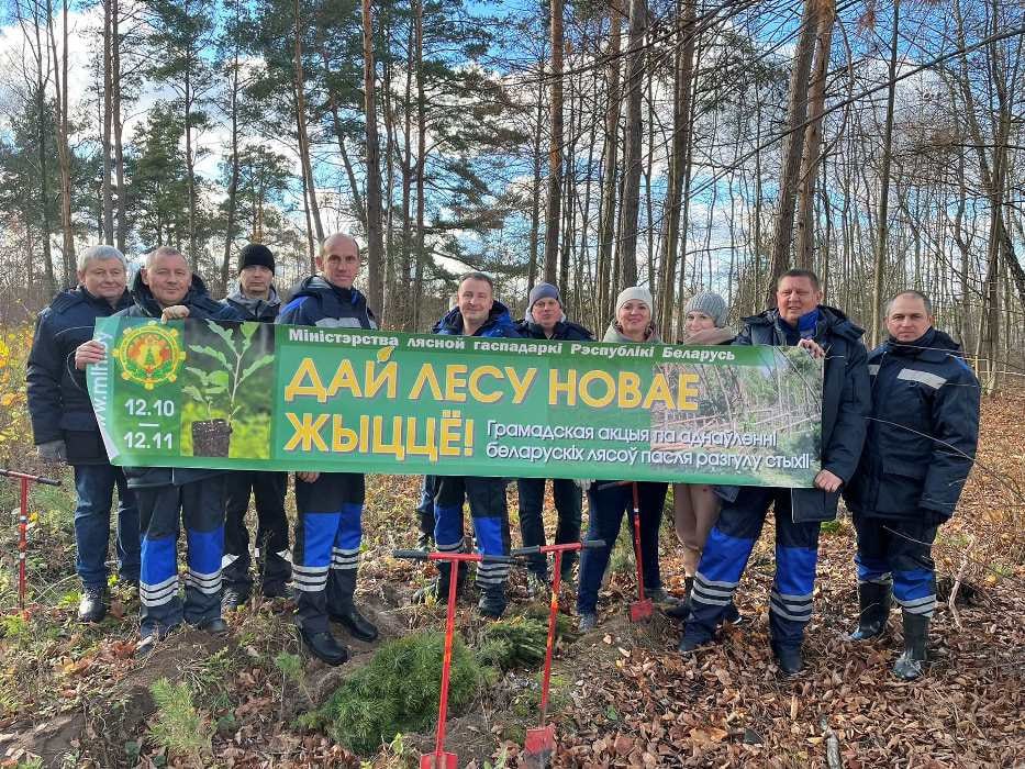 Сотрудники Гродненского филиала РУП «Белтелеком» Сморгонского зонального узла электросвязи приняли участие в акции «Дай лесу новае жыццё