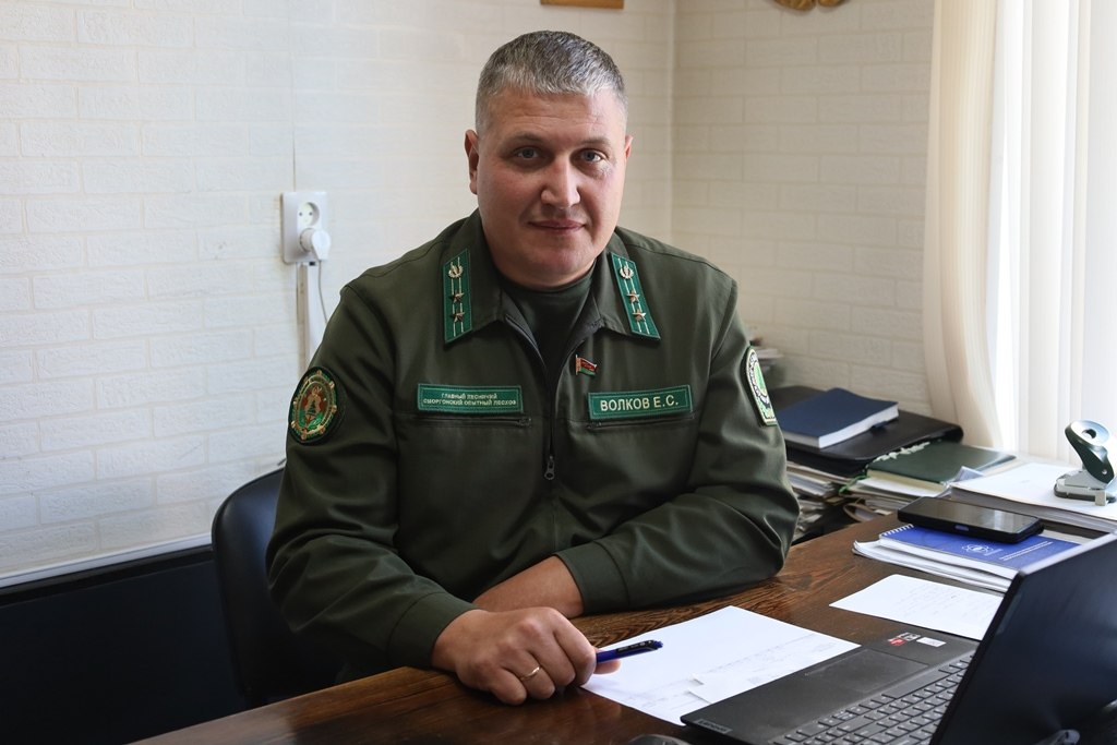 Время заготавливать дрова