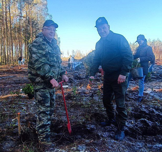 Больше 100 работников Комитета государственного контроля принимают участие в акции 'Дай лесу новае жыццё!'