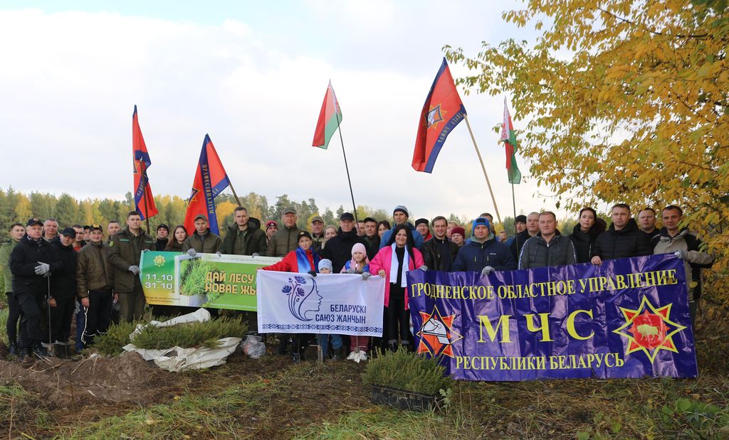 Спасатели Гродненской области присоединились к акции «Дай лесу новае жыццё» 