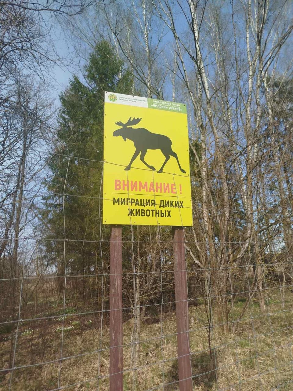 ❗️Внимание, водители! 