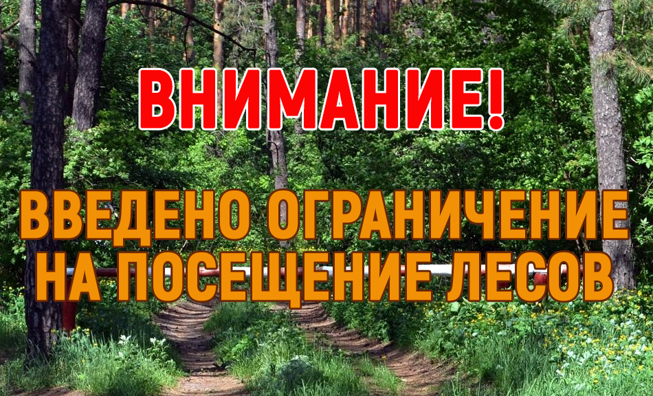 На территории Островецкого района введено ограничение на посещение лесов