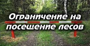 Снято ограничение на посещение лесов с 29.05.2026г.