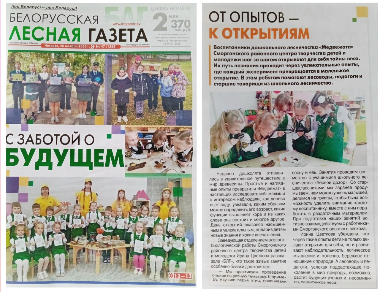 Медвежата