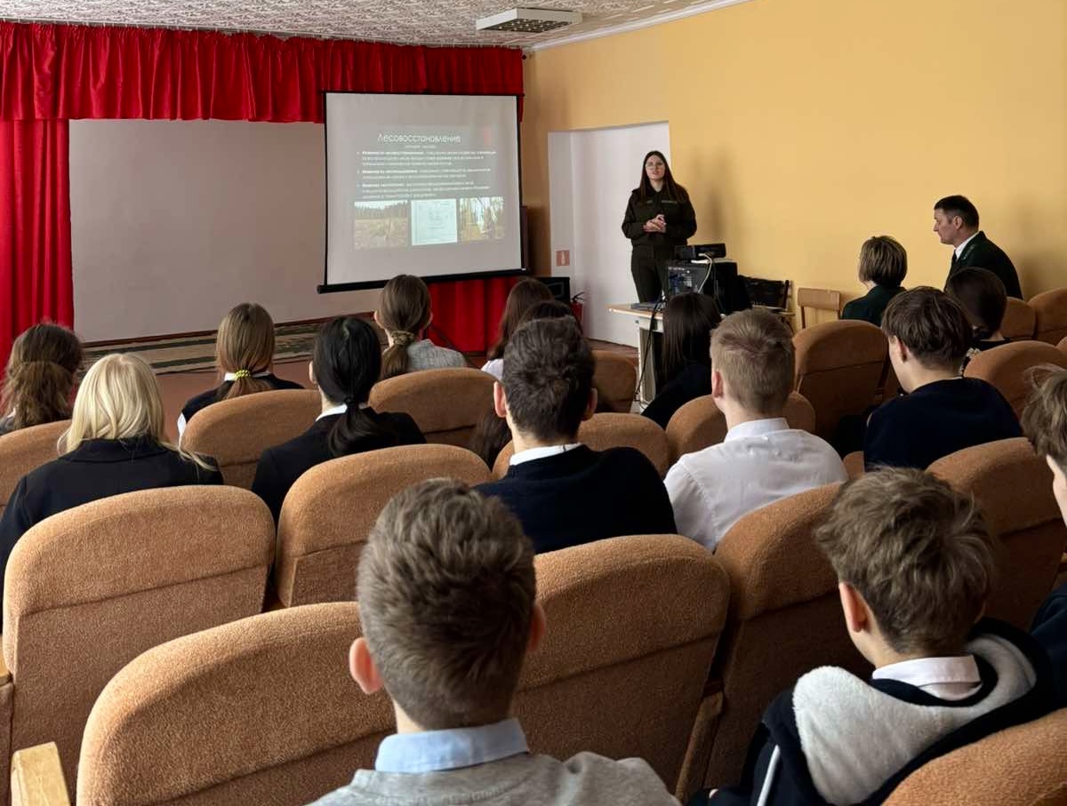 Определиться с будущим: профориентация для старшеклассников!