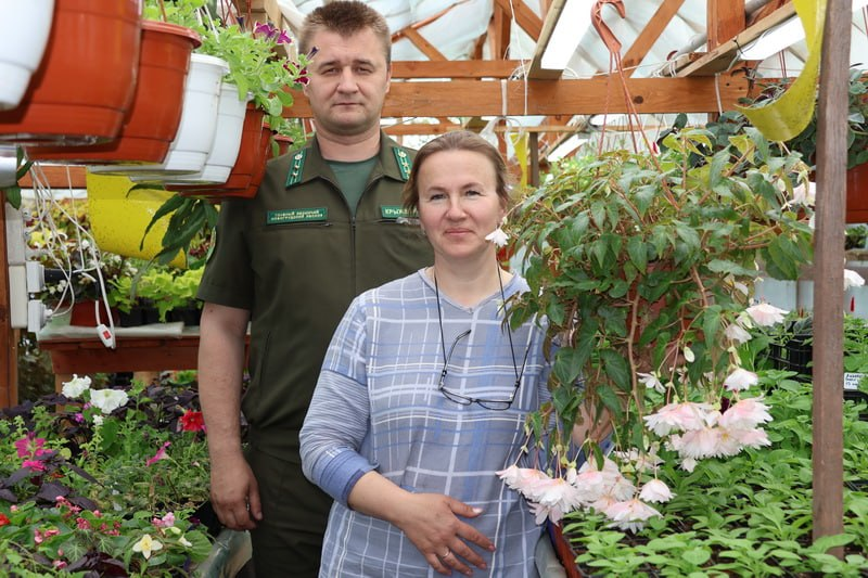 Туи, голубика, петунии. Заглянули в питомник Новогрудского лесничества, где цены ниже, чем у частников