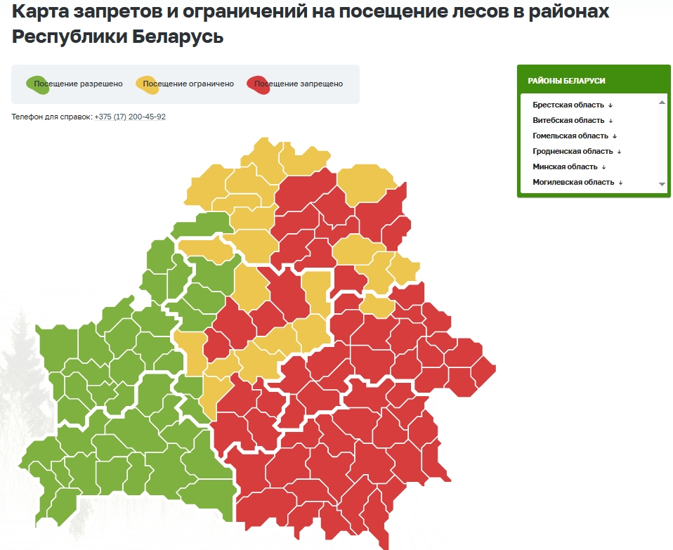Снят запрет на посещение лесов