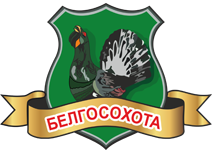 Очные курсы для будущих охотников