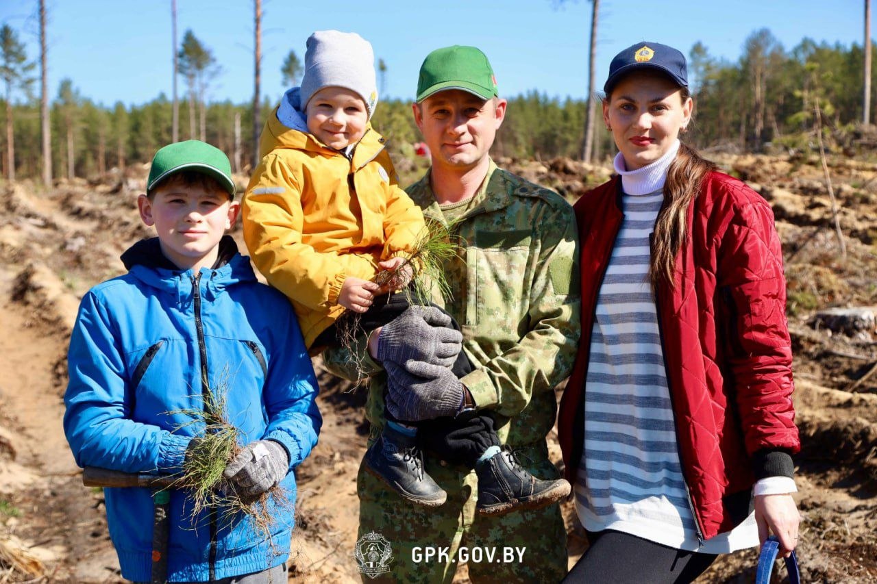 Республиканская добровольная акция «Лес! Дабро! Парадак!» подошла к своему завершению, а значит пришло время подвести итоги!
