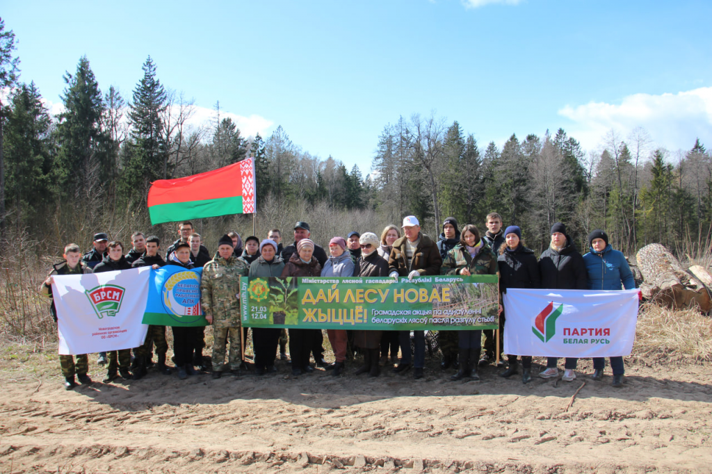 Республиканская акция «Дай лесу новае жыццё» проходит на Новогрудчине
