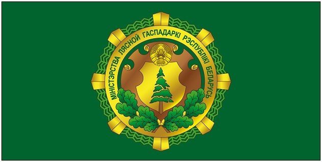 Правительство установило таксовую стоимость древесины на корню в 2026 году